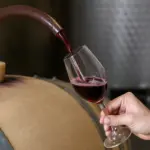 Fermentazione malolattica del vino: riduci acidità e migliora piacevolezza al palato